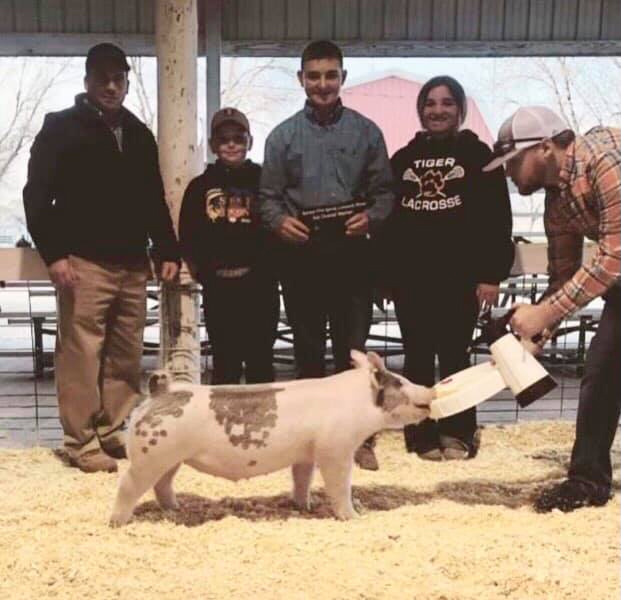 Benton County Spring Jackpot Show – Champion Light Cross & 3rd Overall Market