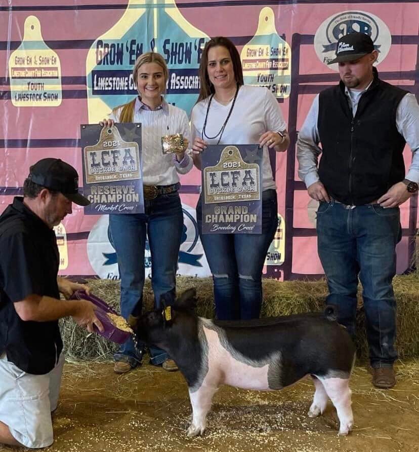 LCFA Texas – Champion Crossbred Gilt & Reserve Champion Crossbred Market Show