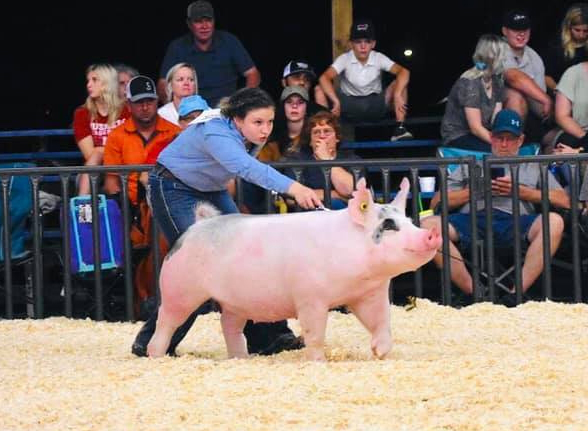 Ottawa County Oklahoma – 3rd Overall Market Hog