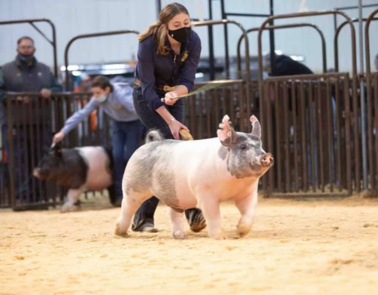 OYE – 2nd Place Barrow, 12th Middle Division & Premium Sale Qualifier