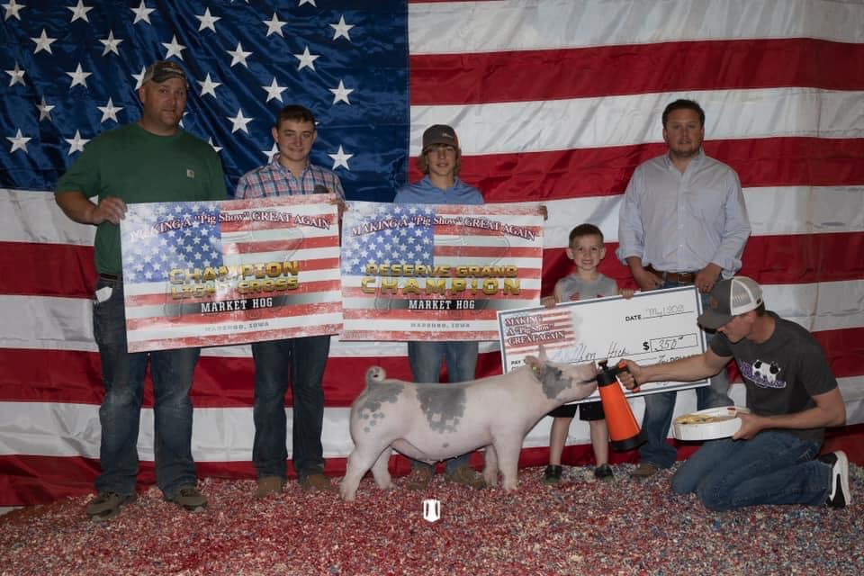 Making a Pig Show Great Again Jackpot IA – Champion Light Cross & Reserve Grand Market Hog