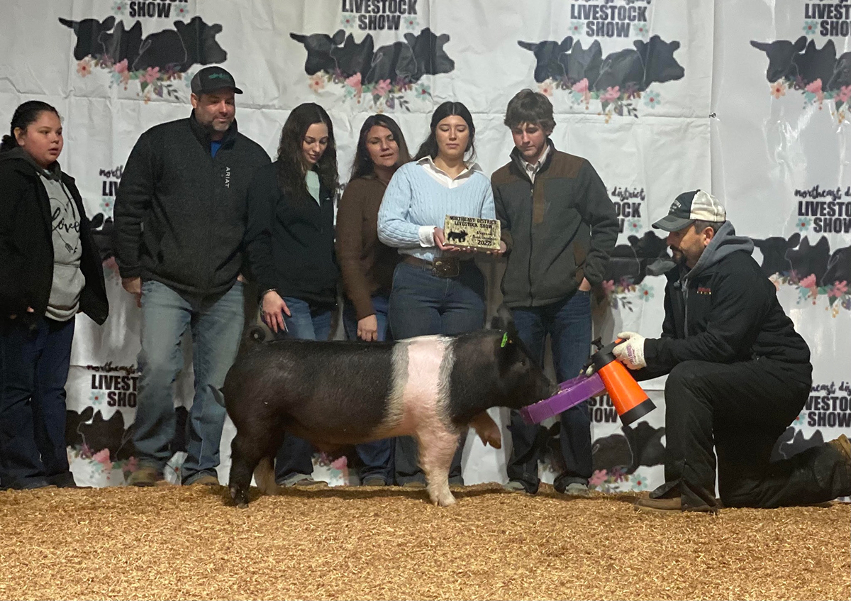 Oklahoma NE District Show and Washington County Show – Reserve Champion Hampshire