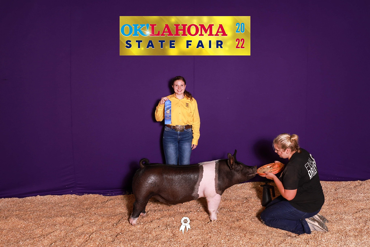 Oklahoma State Fair – Class Winner & 3rd Overall Hampshire