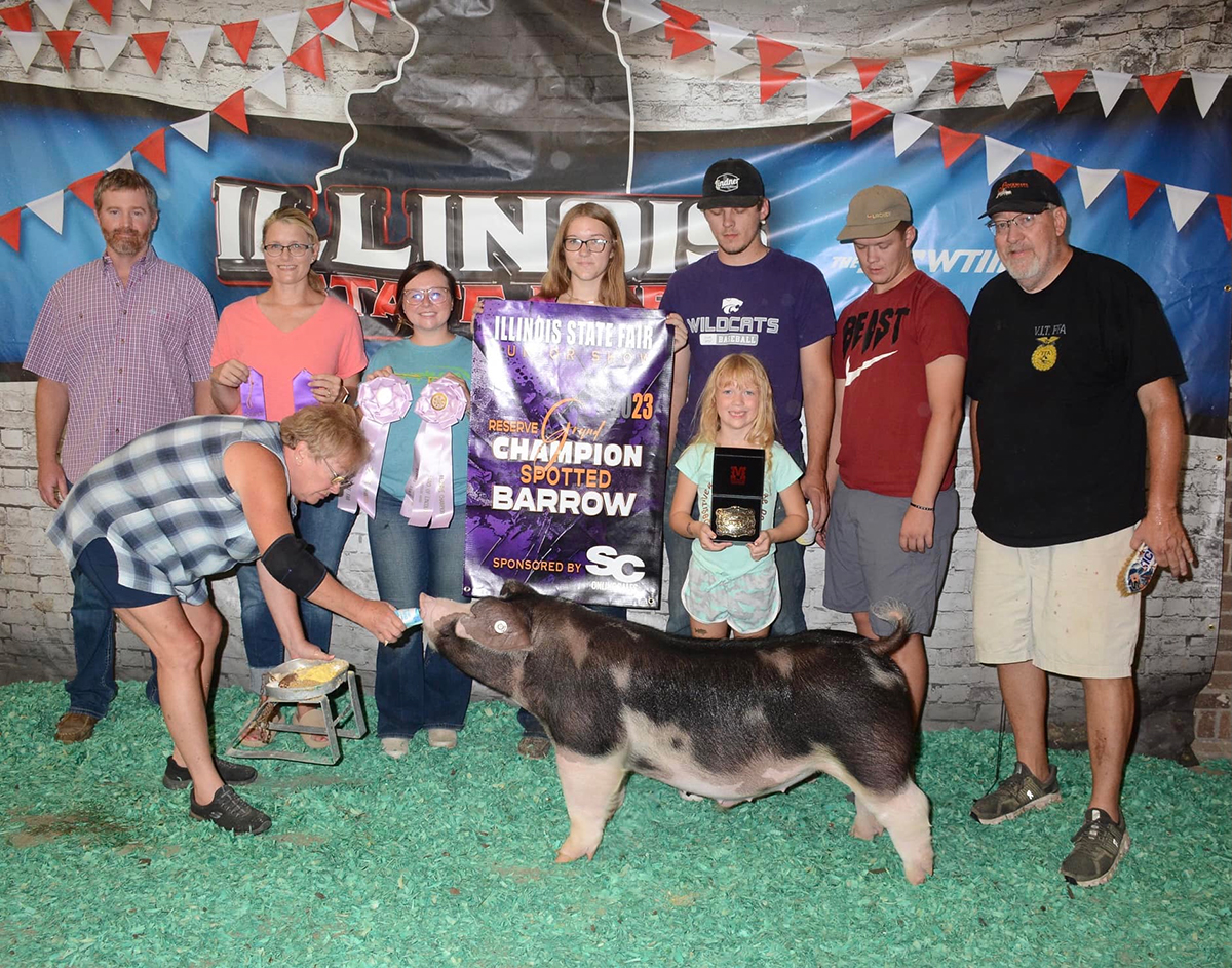 Illinois State Fair – Champion Spot Barrow & 5th Overall Open Show; Reserve Champion Spot Barrow Junior Show; High Points ICPA Spot Barrow