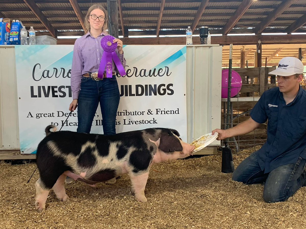 Heart of Illinois Junior Show – Champion Purebred Barrow & 3rd Overall; Illinois FFA Section 12 Show – Grand Champion Market Hog