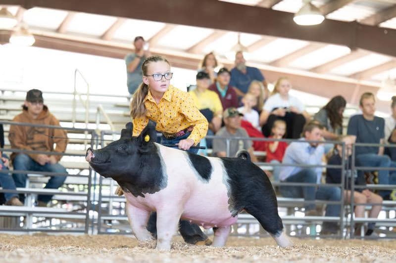 Morgan County Showdown, Utah – additional photo