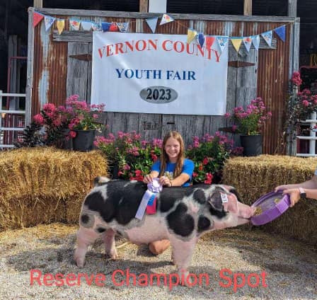 Vernon County Missouri – Reserve Champion Spot Barrow