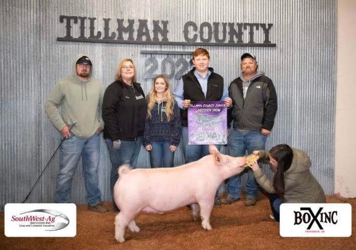 Tillman County Oklahoma – Champion Yorkshire