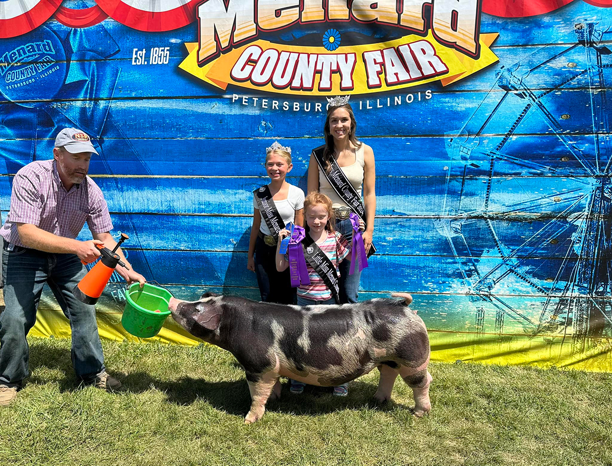 Menard County Fair – Champion Spot Gilt, Open Division