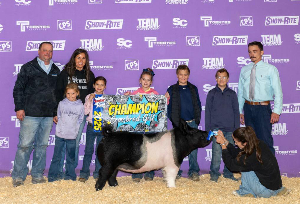 Grand Champion Crossbred Gilt at NBS Junior National