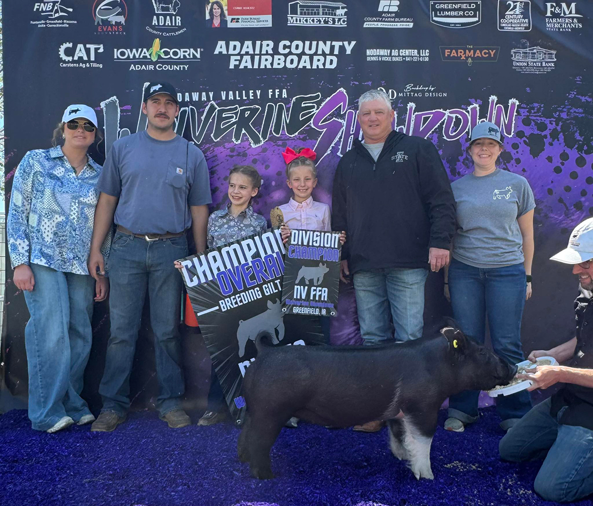Grand Champion Breeding Gilt at Wolverine Showdown Ring 2
