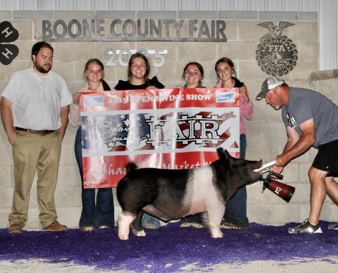 Grand Champion Barrow at Boone County Iowa Open Show