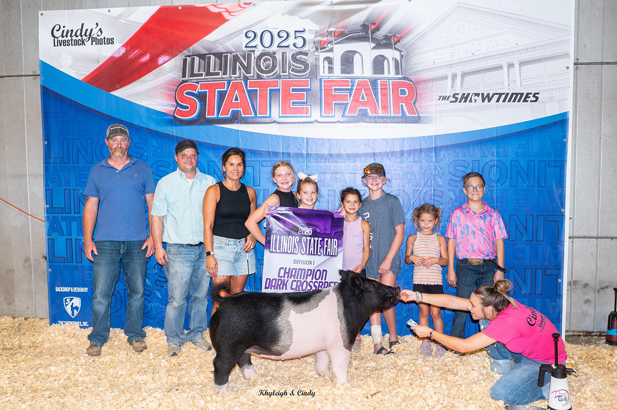 Champion Dark Cross Gilt Division 1 at Illinois State Fair