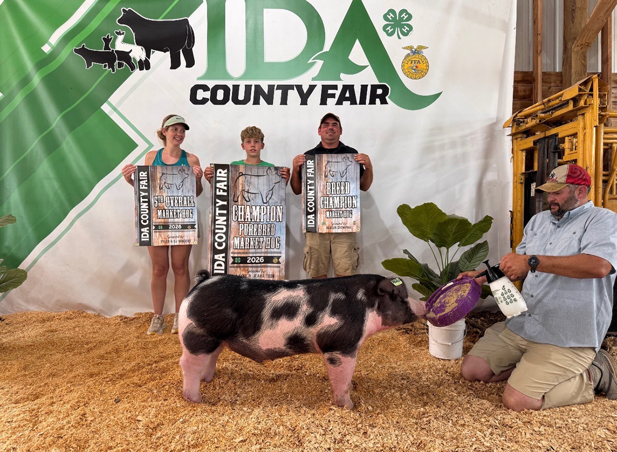 Champion Purebred Market Hog and 5th Overall – Ida County Iowa