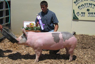 Grand Champion