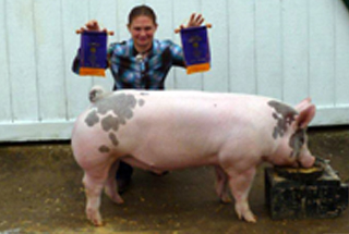 Grand Champion