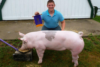 Grand Champion Gilt