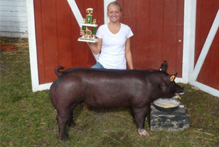 Reserve Champion Gilt
