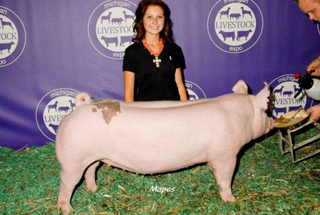 Reserve Light Weight - Michigan Livestock Expo