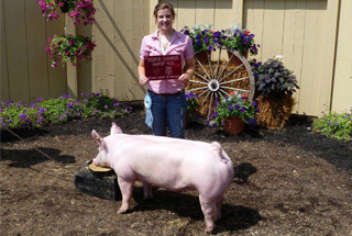 Reserve Champ Mkt Hog