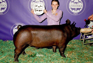 Reserve Division Champ - Michigan Livestock Expo