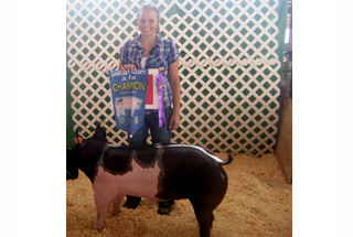 Champion Lightweight Gilt Sandusky County