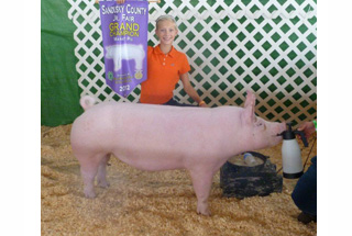 Grand Champion Sandusky County