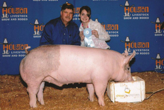 Reserve Grand Champion Gilt Michigan Livestock Expo