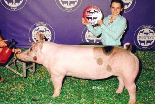 Reserve Champion Div II Cross Gilt