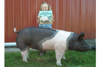 Reserve Division Champion Gilt Miami County 