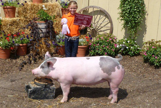 Grand Champion Gilt Reserve Overall Ottawa County