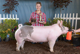 13 Chapion Lighweight Gilt Putnam County