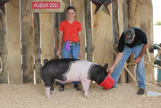 13 Grand Champion Defiance County Open Show