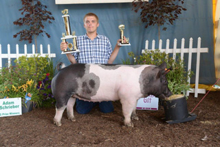 13 Grand Champion Gilt Ottawa County