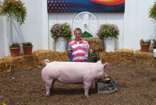 13 Reserve Champion Heavyweight Gilt & 3rd Overall Ottawa County