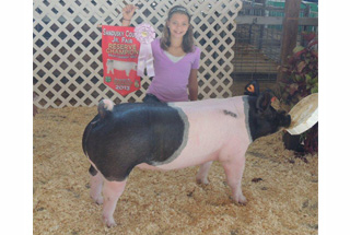 13 Reserve Champion Heavyweight Gilt Sandusky County