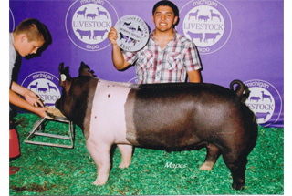 13 Reserve Division Champion Michigan Livestock Expo