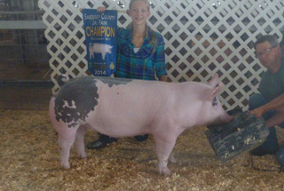 Creager Family Farms Champion