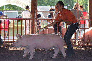 Creager Family Farms Champion