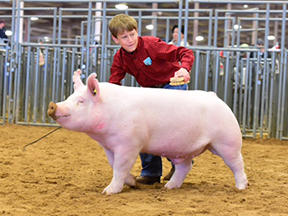 Creager Family Farms Champion