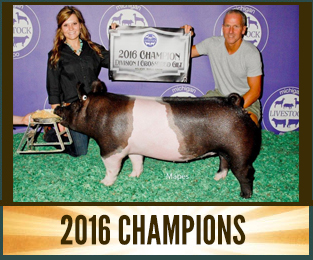 2015 Champions