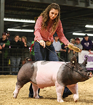 Creager Family Farms Champion