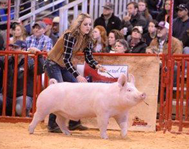 Creager Family Farms Champion