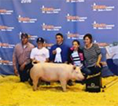 Creager Family Farms Champion