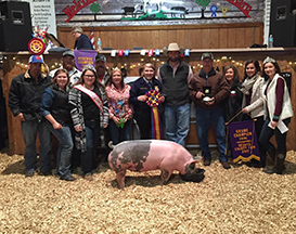 Creager Family Farms Champion