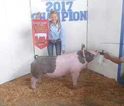 Creager Family Farms Champion