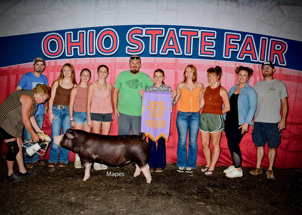 Reserve Champion Poland gilt — Ohio State Fair Open Show 2025 — Shown by Chloe Blakley
