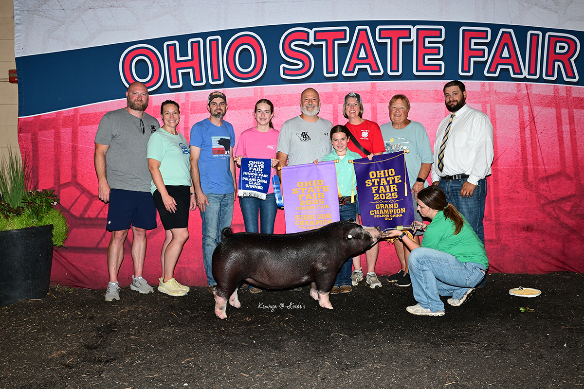 Reserve Champion & Grand Champion Poland gilt — Ohio State Fair 2025 — Shown by Kamdyn Fox