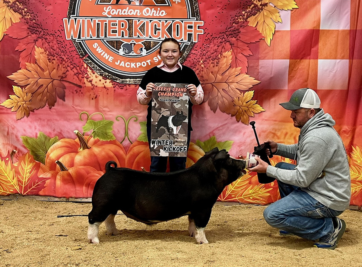 Reserve Champion Poland barrow — 2025 Winter Kickoff, Ohio — Shown by Paytin Ballinger