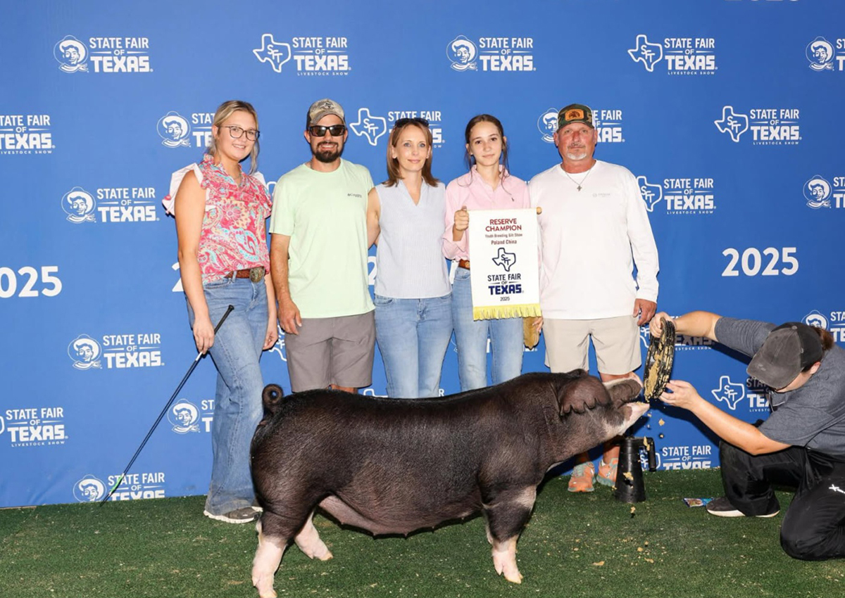 Reserve Champion Poland gilt — 2025 Texas State Fair — Shown by Faythelynn Burr